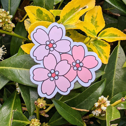 Cherry Blossom/ Sakura Sticker