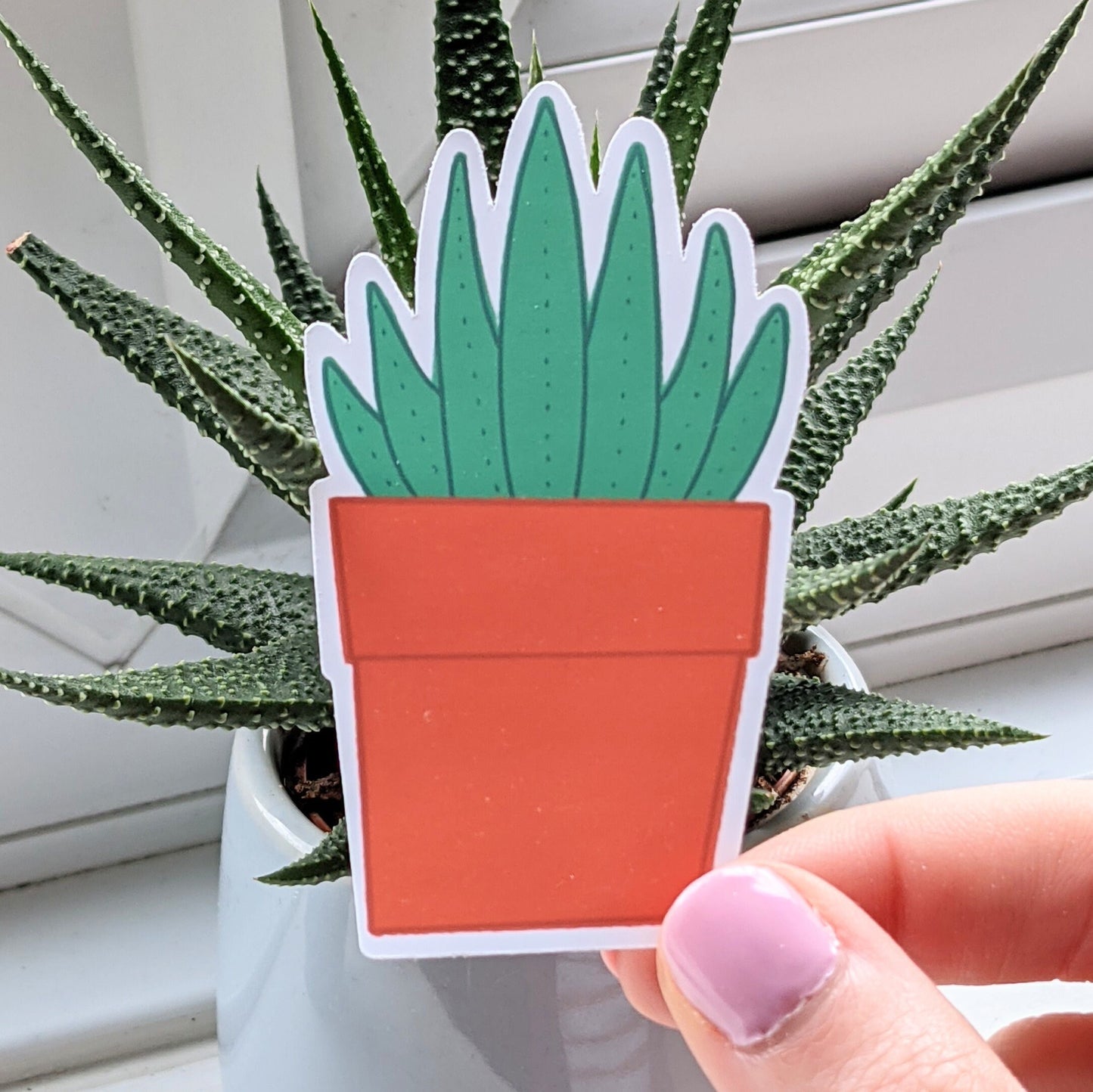 Aloe Vera Sticker