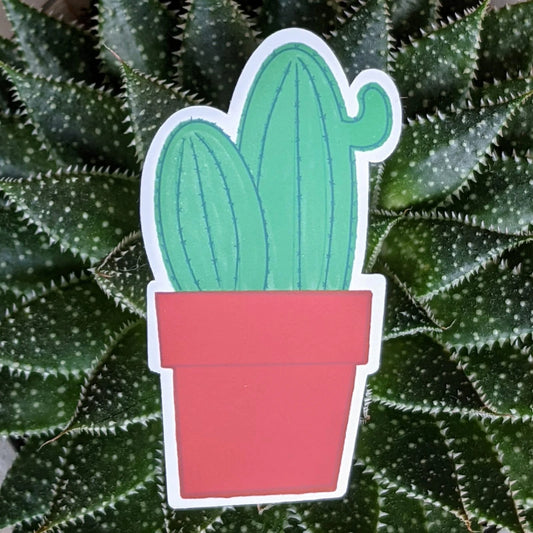 Cactus Sticker