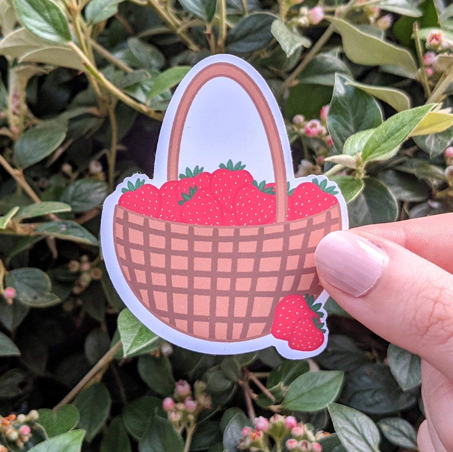 Strawberry Basket Sticker