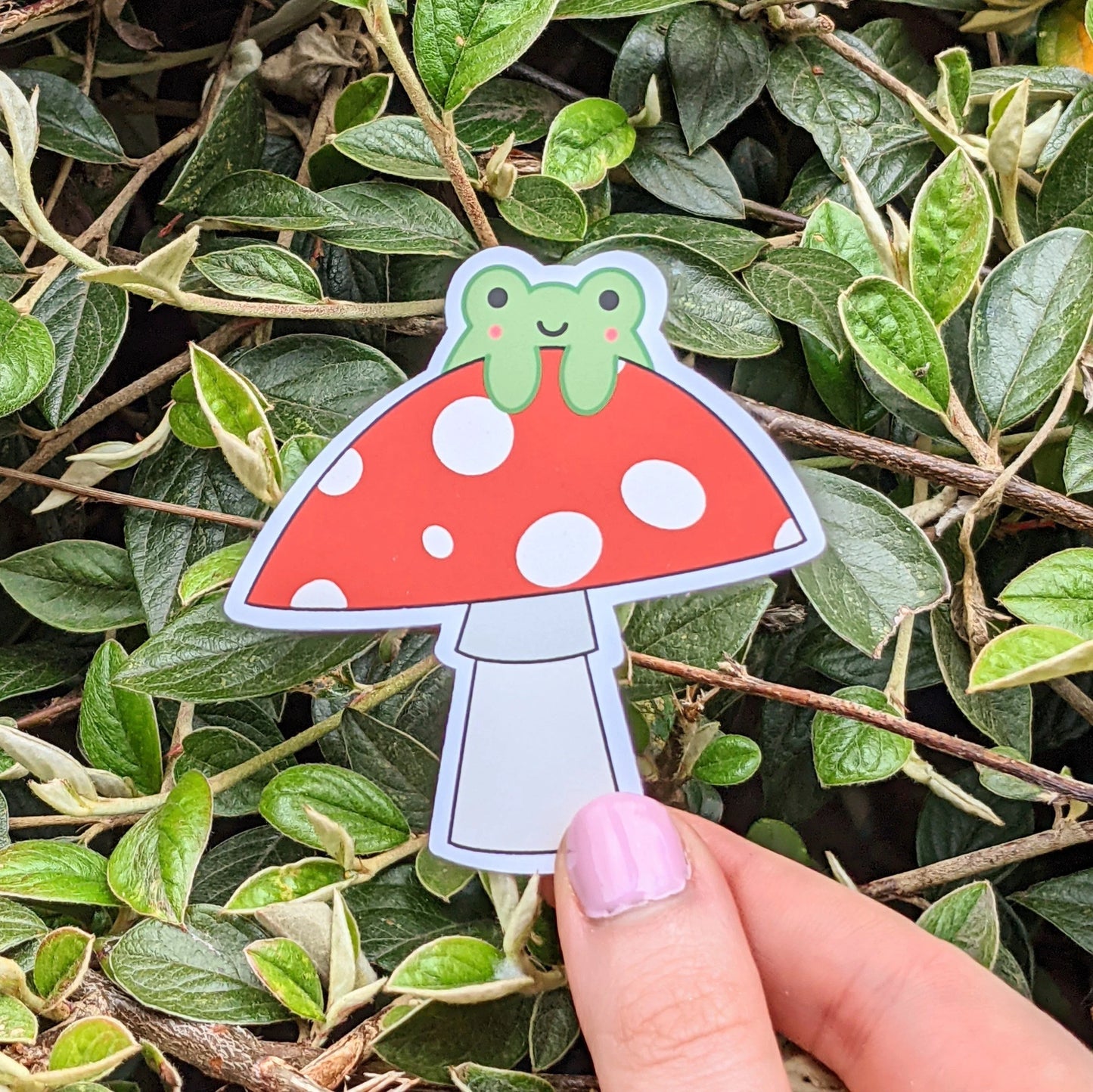 Frog on Toadstool Sticker