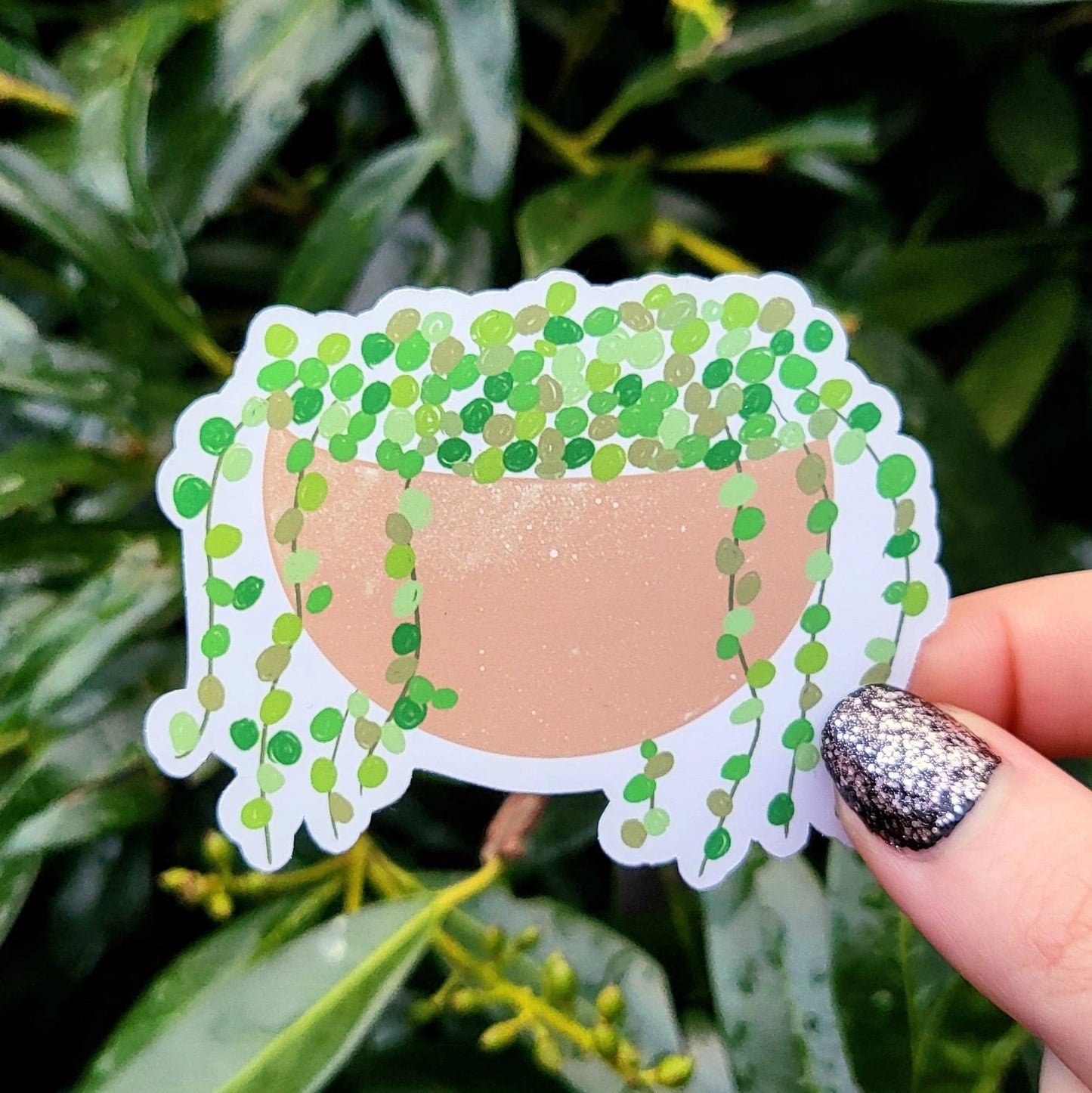 String of Pearls Sticker