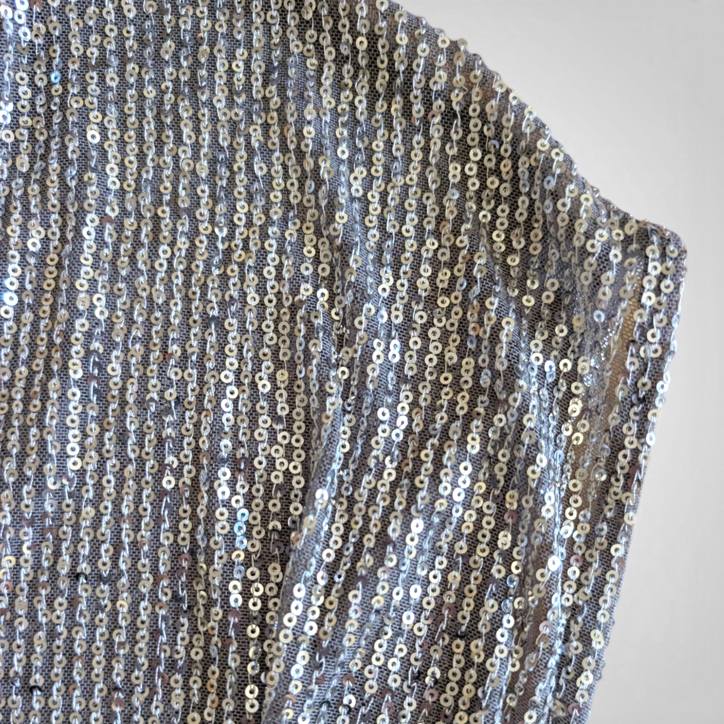 Silver Sequined Crop Top