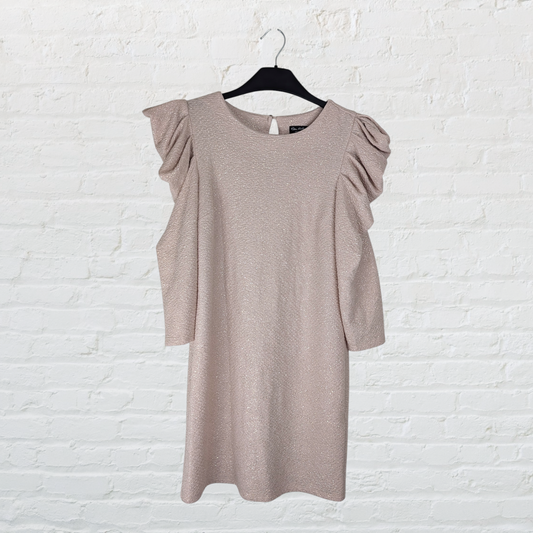 Dusky Rose & Silver Sparkle Long Sleeve Mini Dress
