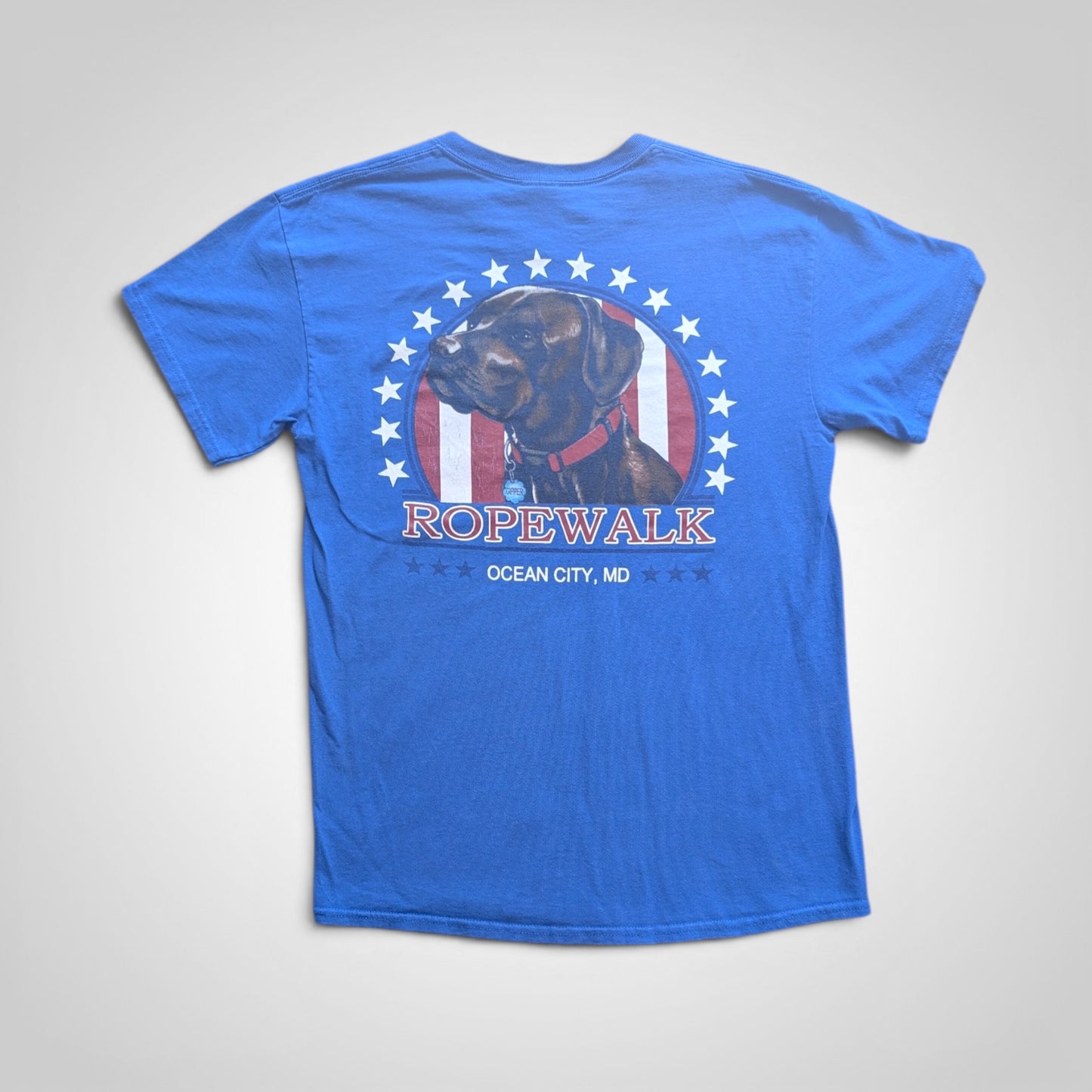 US Vintage Dog Tee