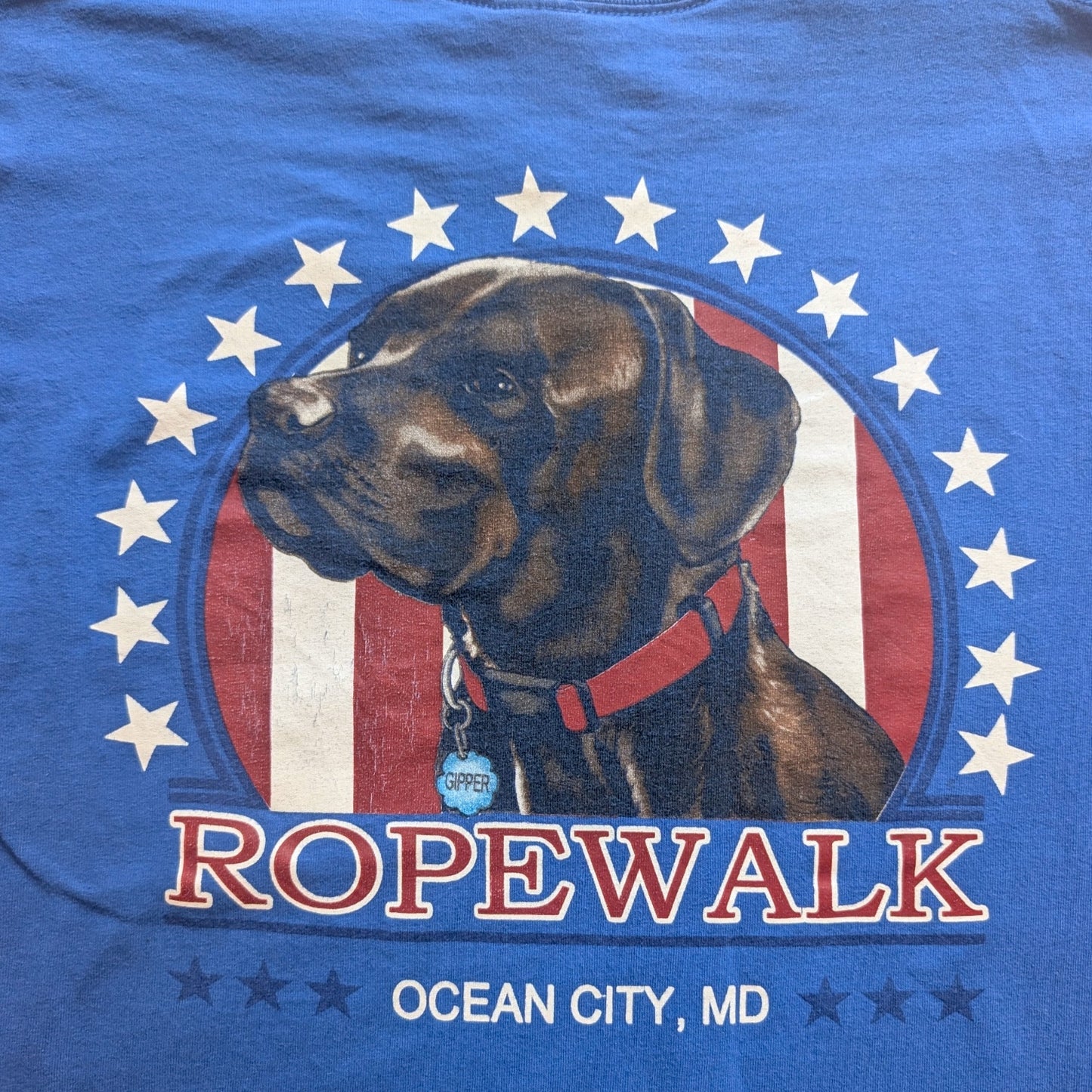 US Vintage Dog Tee